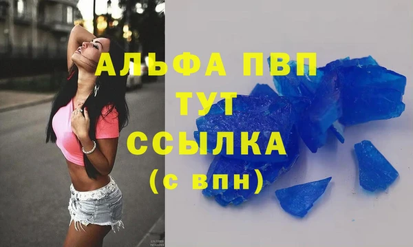 прущие грибы Надым