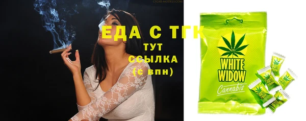 прущие грибы Надым