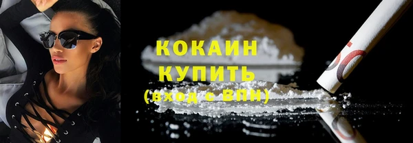 прущие грибы Надым
