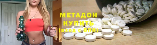 прущие грибы Надым