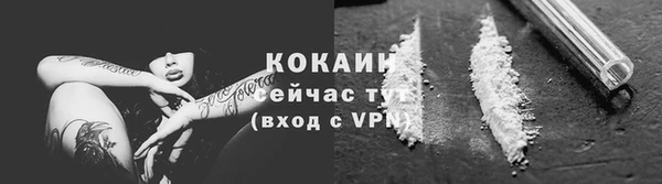 прущие грибы Надым