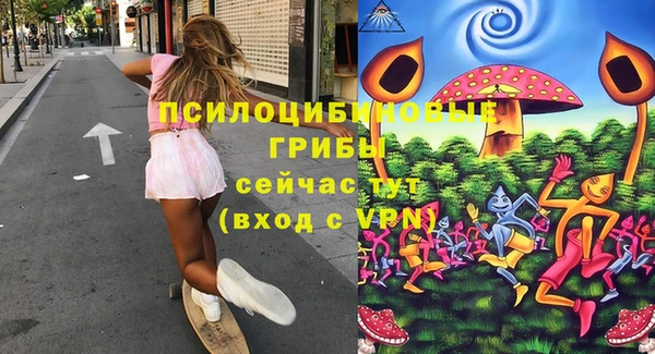 шишки Навашино