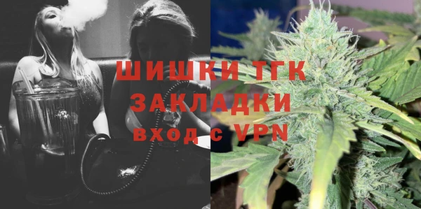 прущие грибы Надым