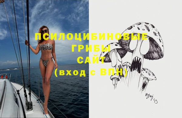 хмурый Наволоки