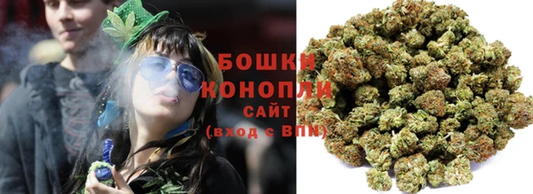 прущие грибы Надым