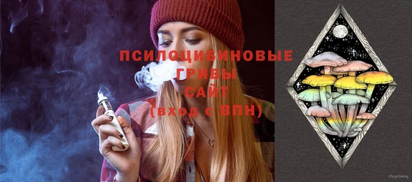 прущие грибы Надым