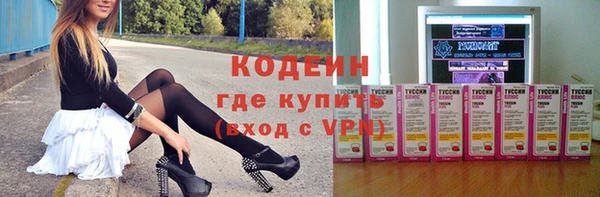 прущие грибы Надым