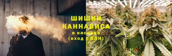 прущие грибы Надым