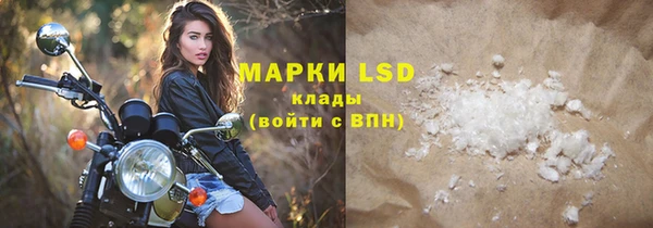 прущие грибы Надым