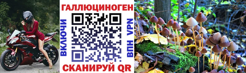 Галлюциногенные грибы прущие грибы  Купить закладки  Пущино 
