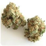Шишки "White Widow"  (Белая вдова)  Гидропоника -  Бошка VHQ в Пущино